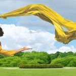 Propertyfied Realtors Pvt Ltd Shree Vardhman Olive